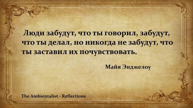 The Ambientalist - Reflections