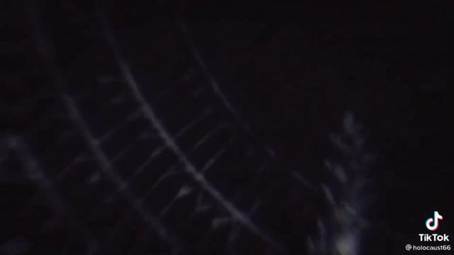 кнеки стал гулем