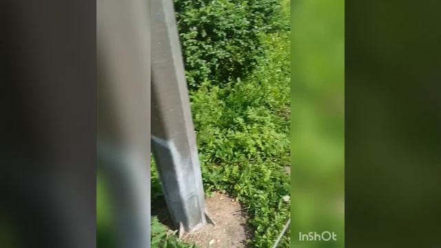 Начало лета ч 3