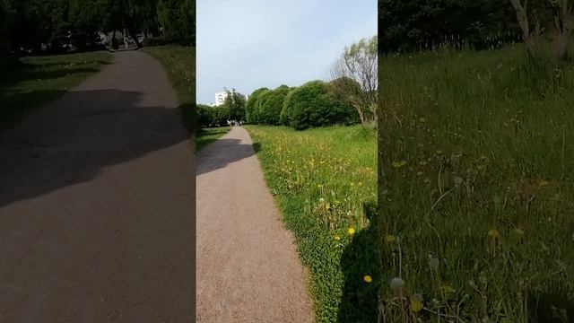 Прогулки по пр. Ветеранов