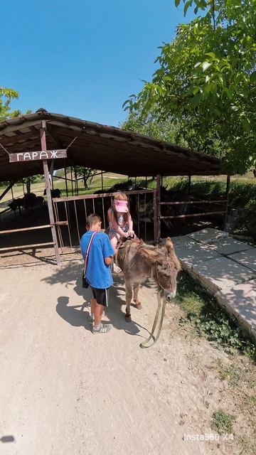 ослинная ферма в Крыму
