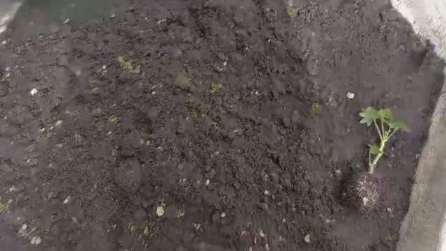 Остатки сладки? Или доброе дело, оно и людям приятно.