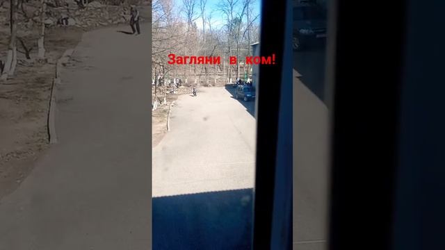 Сегодня в 3 школе в Пятигорске прохождение субботника.