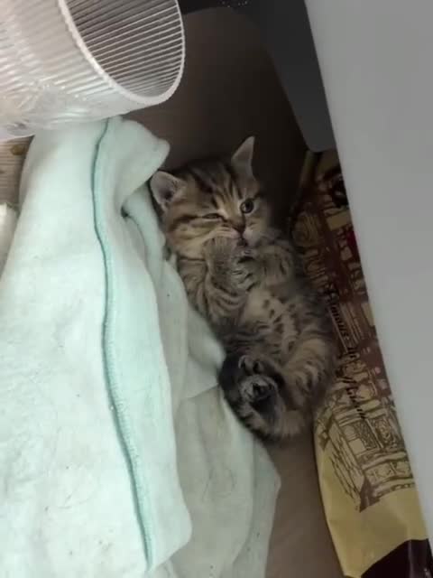 Подпишись 👉 https://vk.com/ykrasheniy_iz_kamny