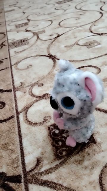 Коала Риви 🐨