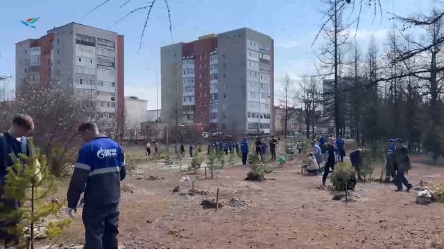 В Надыме прошла Всероссийская акция «Сад памяти»