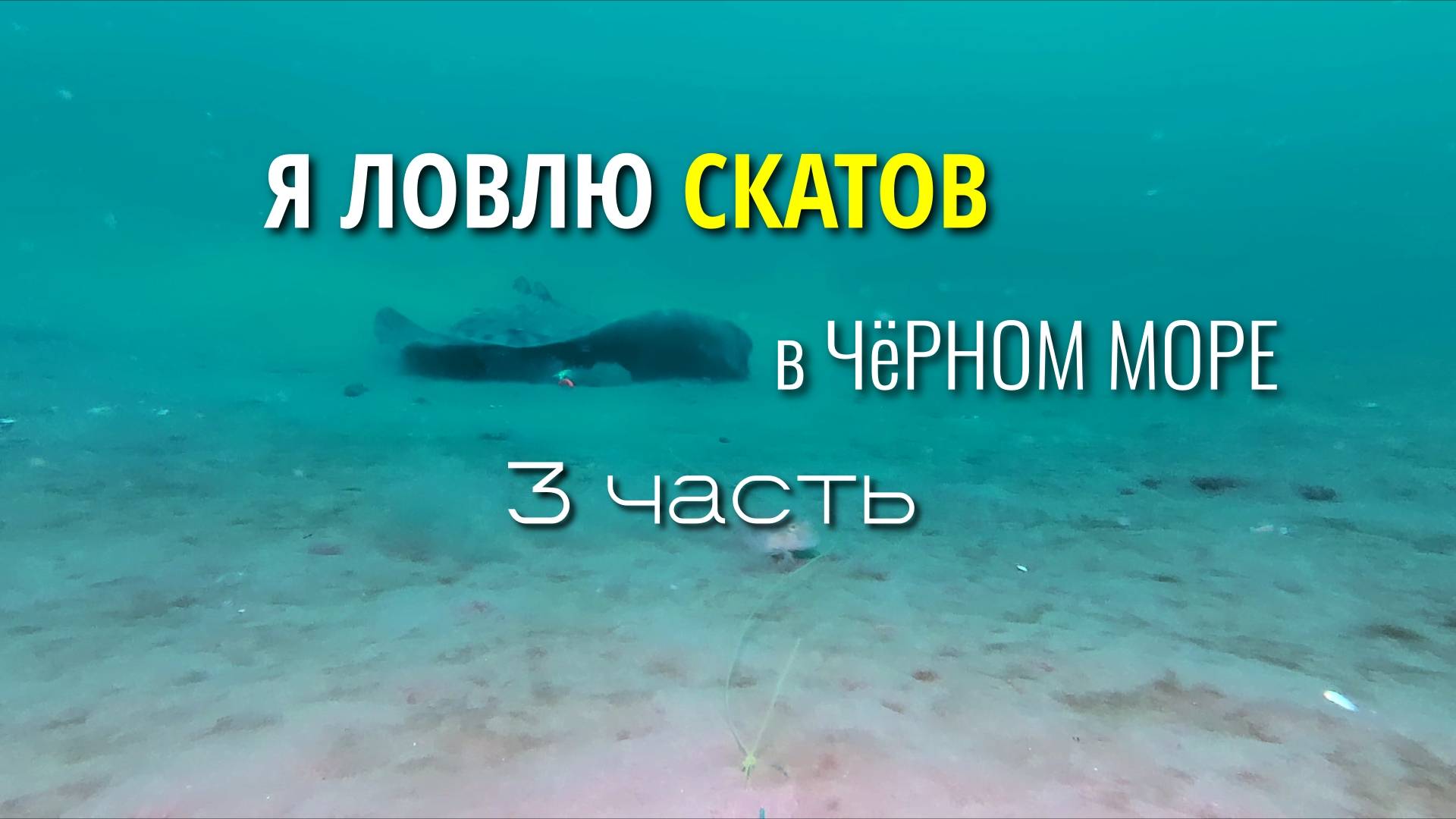Я ловлю скатов в Черном море на проверенной точке возле Геленджика. 3 часть