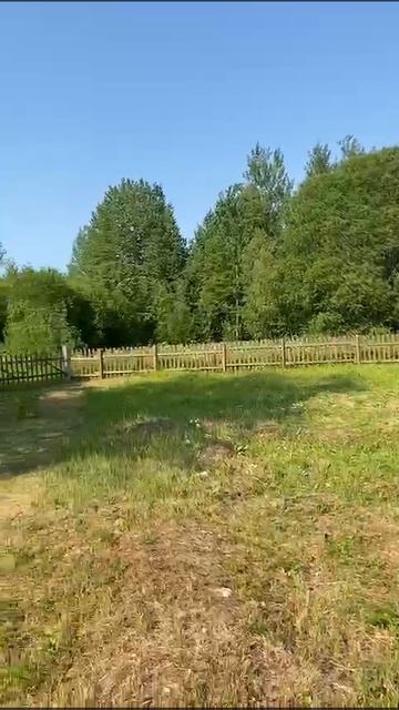 Жилой дом д. Мошары. Вид на дом и школу