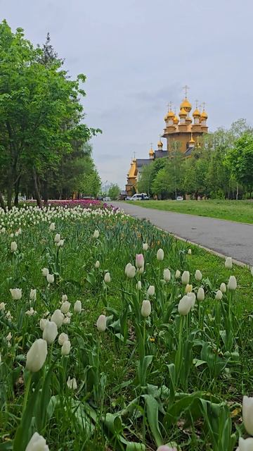 Белгород, Южный парк