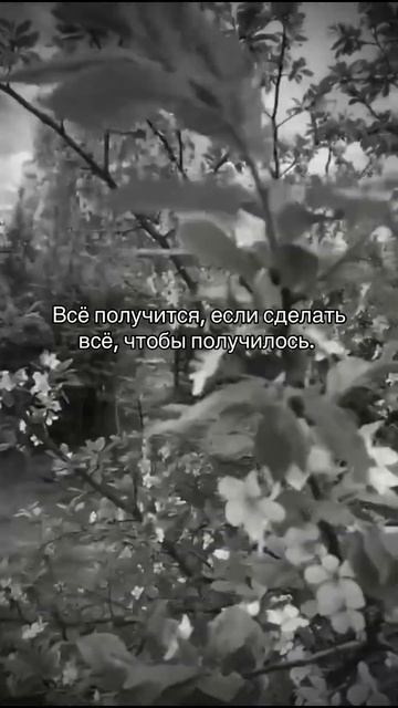 Делай это.