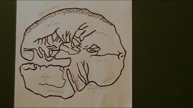 Форма Жизни и форма Истины_1