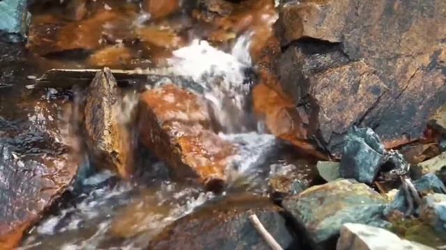 Текущая вода на видео. Медитация в лесу для успокоения.