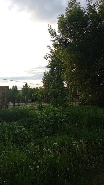 Жизнь