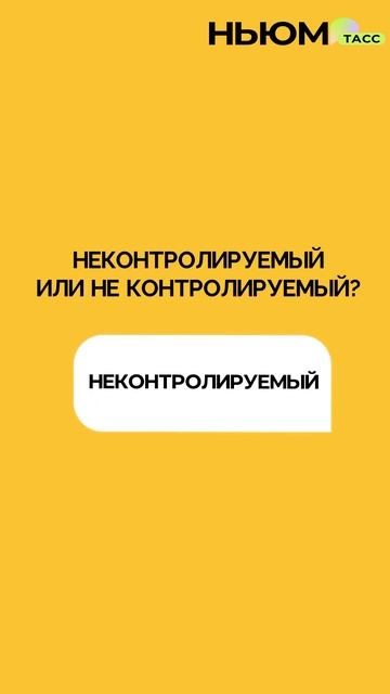 В День русского языка проверим, как хорошо вы знаете великий и могучий!
