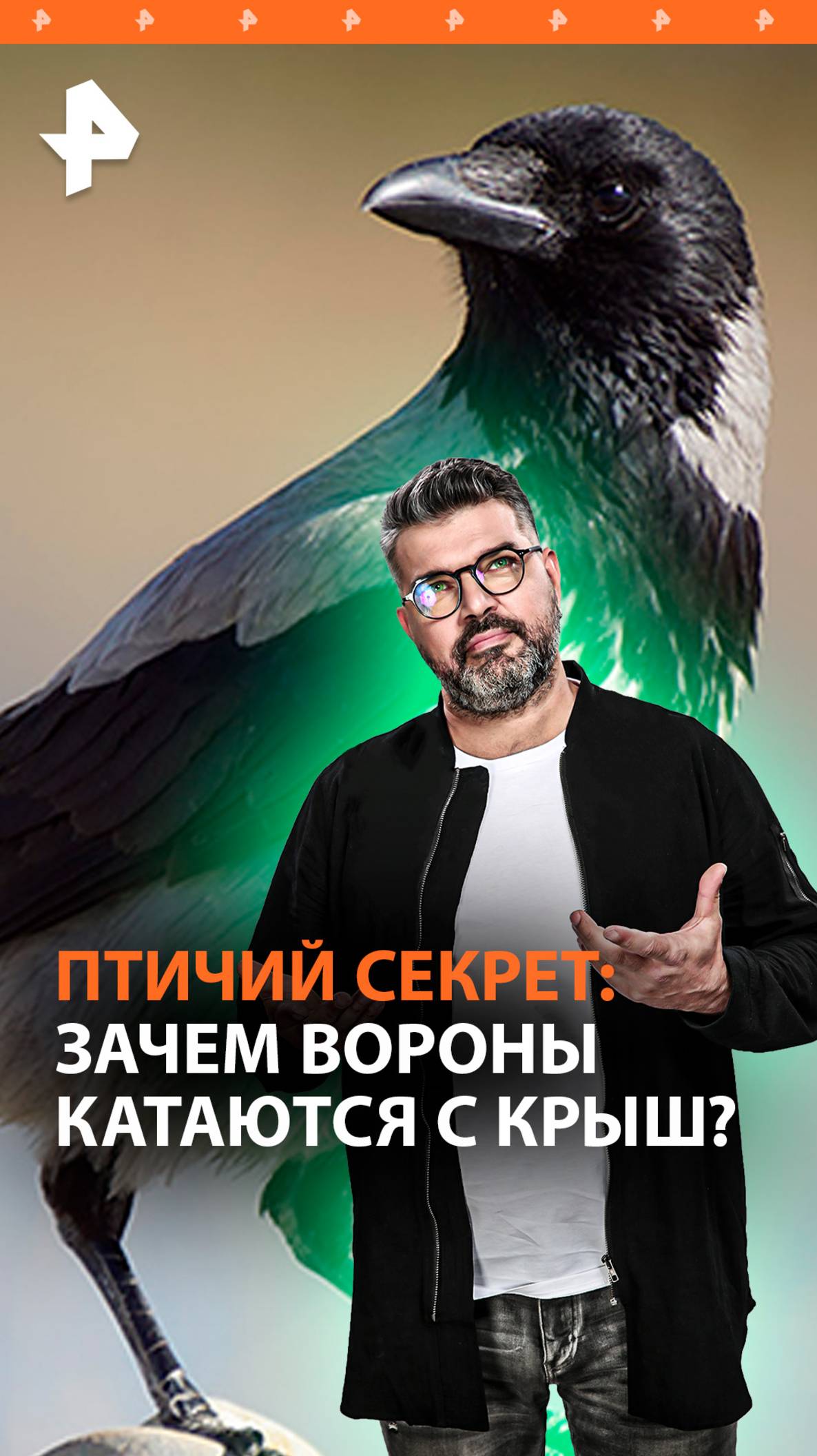 Зачем вороны катаются с крыш: биолог раскроет секрет / “Знаете ли вы, что…”