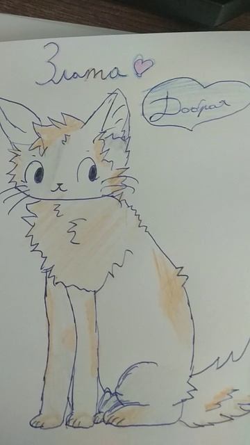Котики и твоё имя. Часть 1