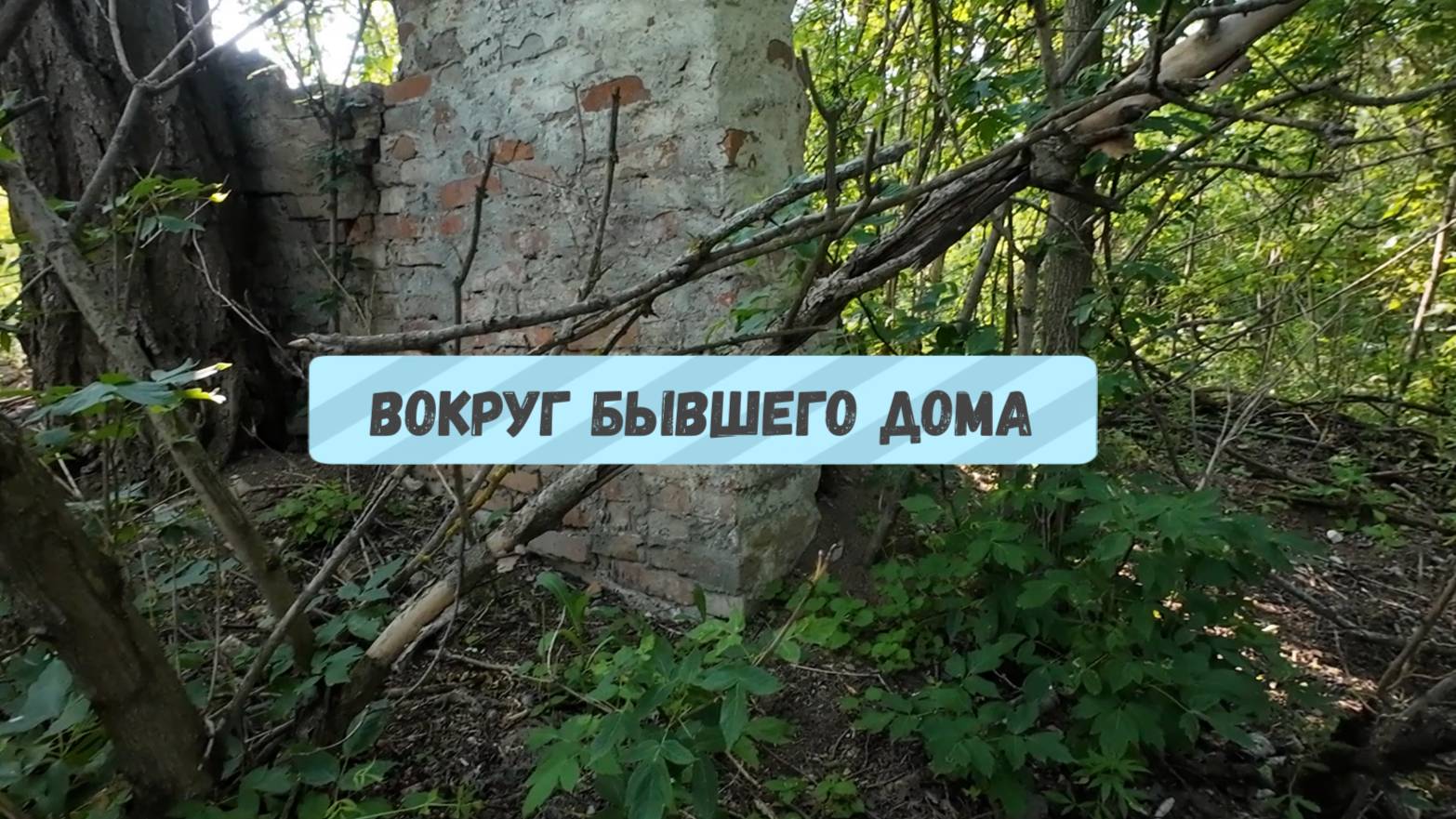 Веду поиск вокруг бывшего дома.