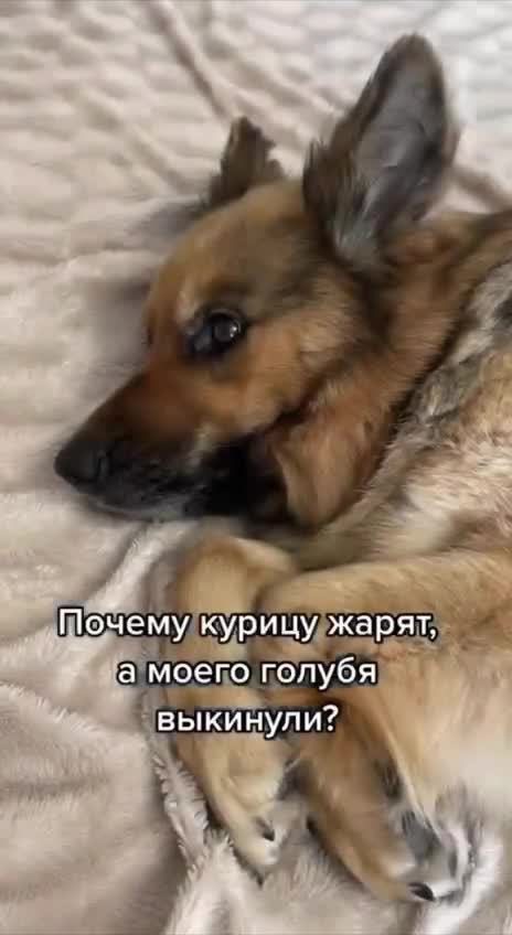 Подпишись 👉 https://vk.com/ykrasheniy_iz_kamny