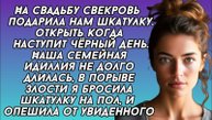Свекровь подарила шкатулку, но когда я открыла её то опешила...