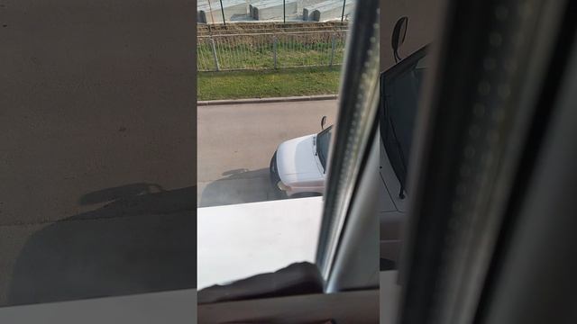 VID_20250606_074048.mp4