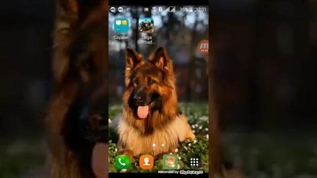 Новый майнкрафт 1.0.0.0