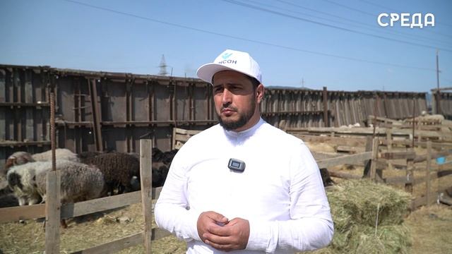 Мусульмане Каспийска отмечают Курбан-Байрам