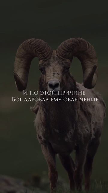 С Праздником Курбан-Байрам