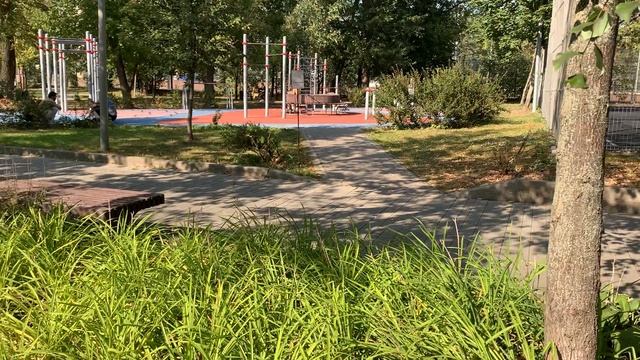 Стрелекая_июнь_10