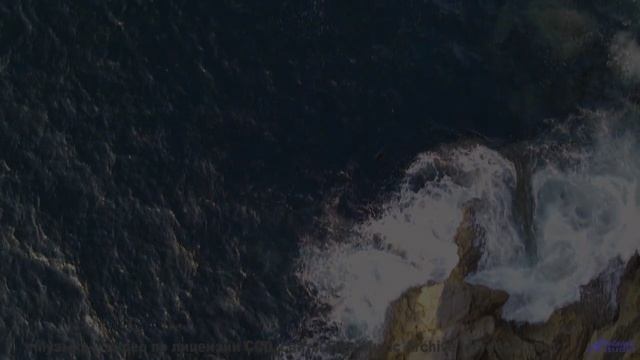 Глаза цепляются за кадры, уши ловят каждый аккорд - Under The Surface Of Europa -- Frau Holle -- Dif
