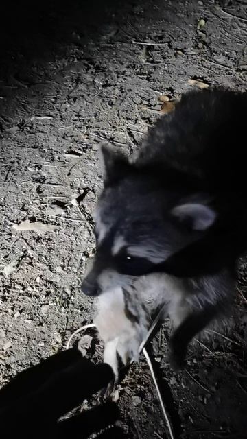 VID_20250522_231407