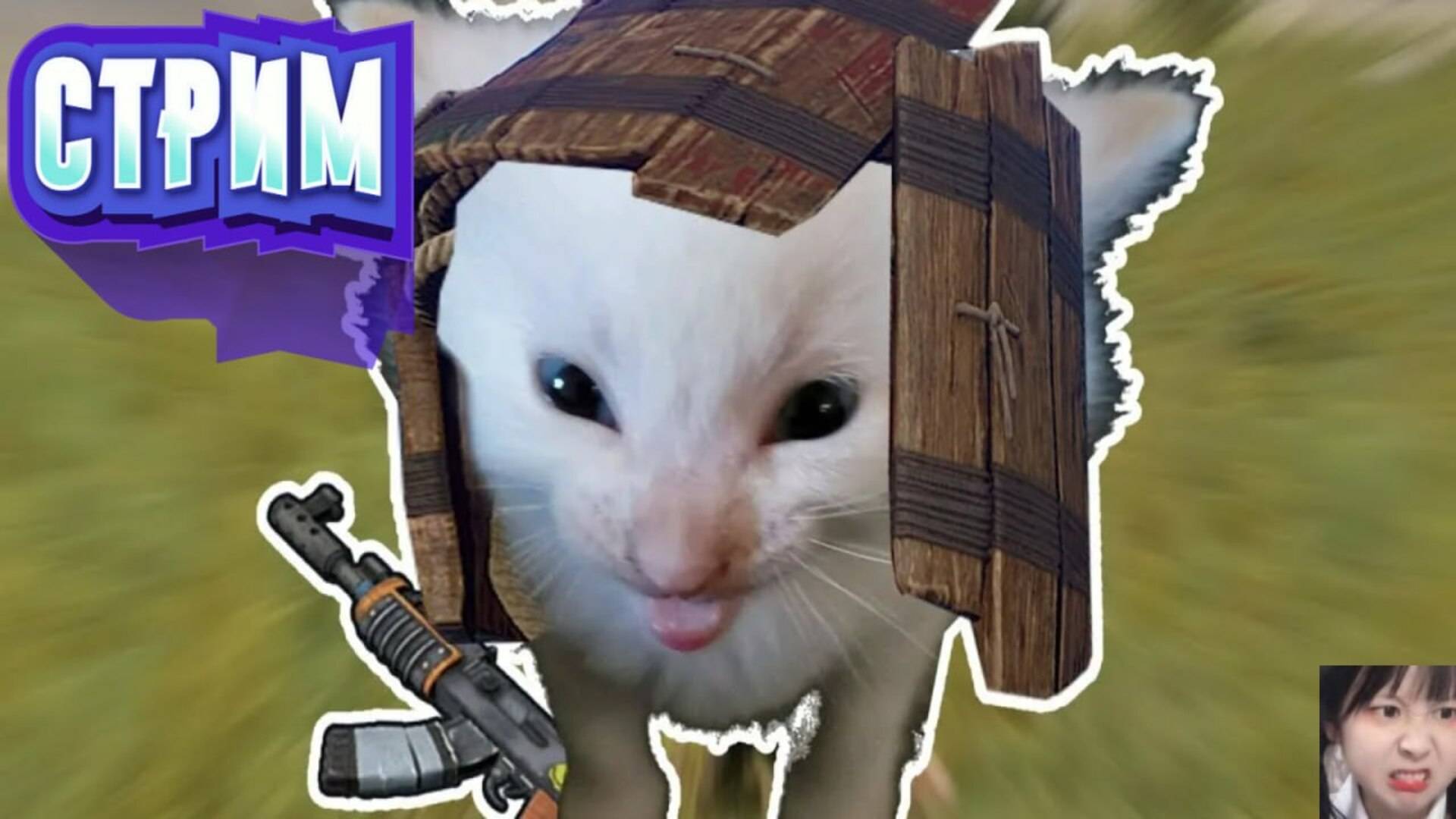 Rust. Глобал Вайп. Мою ферму охраняет Юнеско