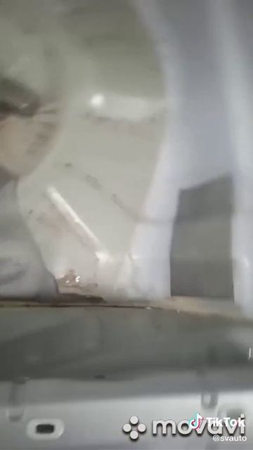 1000004508.mp4