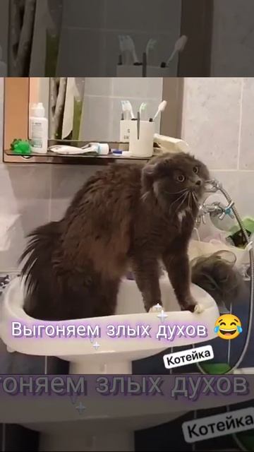 ...😂.....