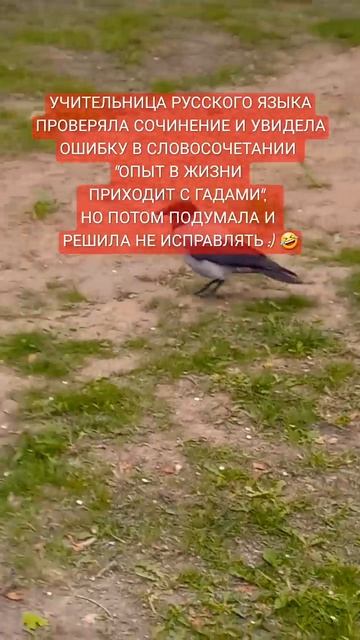 ДЕНЬ РУССКОГО ЯЗЫКА #юмор #птицы #прикол