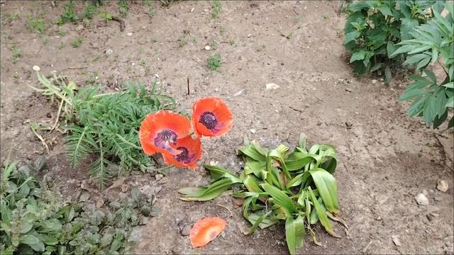 Выбираю солнцезащитные средства для моря, новый телефон.