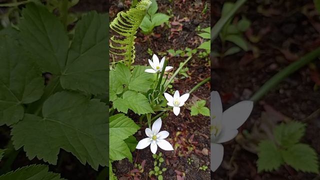 эмоциональное выгорание