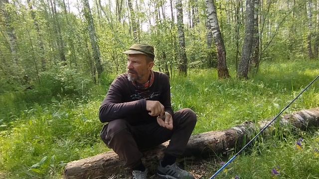 на забытый прудик
