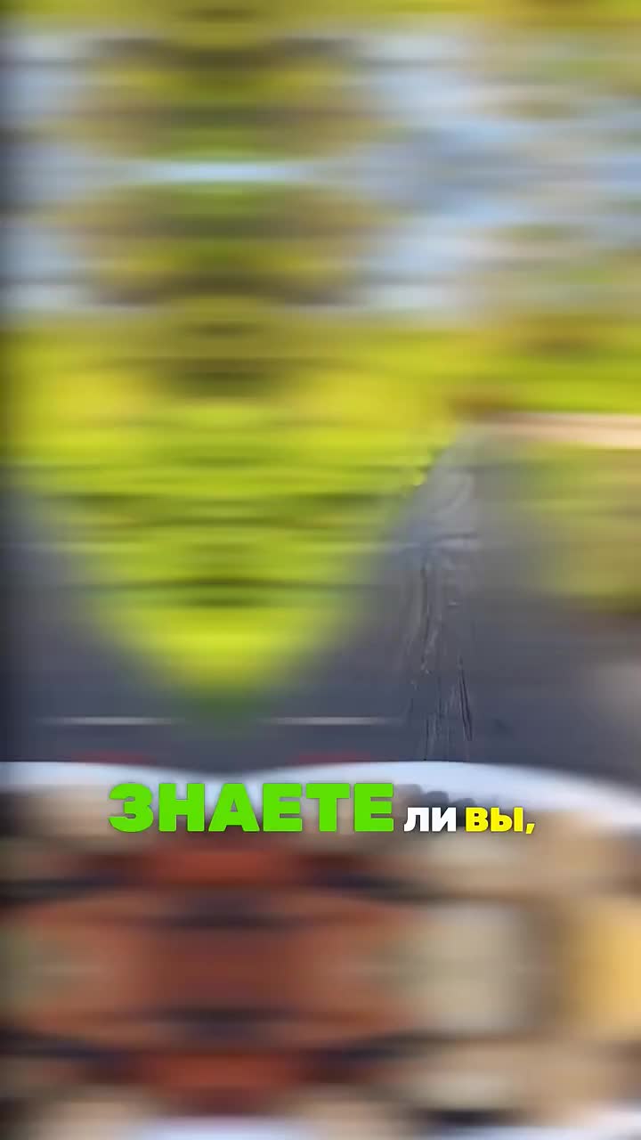 Как ПТИЦЫ возвращаются ДОМОЙ?