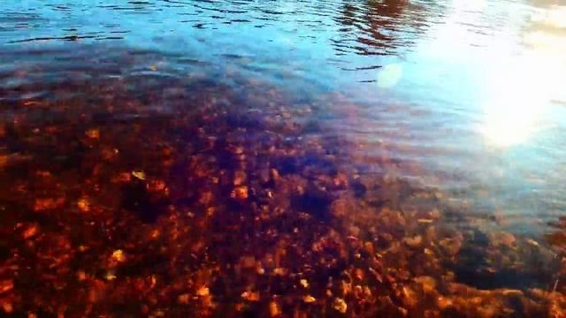 Наслаждение видом на текущую воду реки. Берег реки, камни и шум воды.