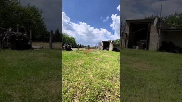 всушница напала на молодого, которого только несколько дней назад тцк вытянули на пункт подготовки