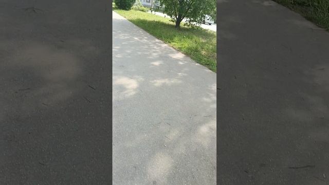 1000006078.mp4