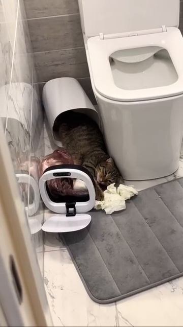 |