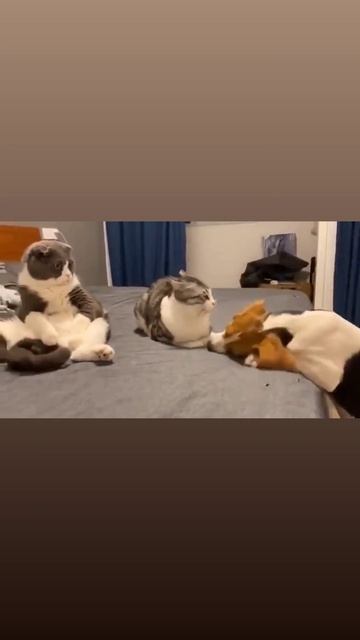 1000084753.mp4