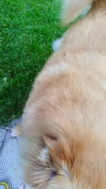 1000475421.mp4