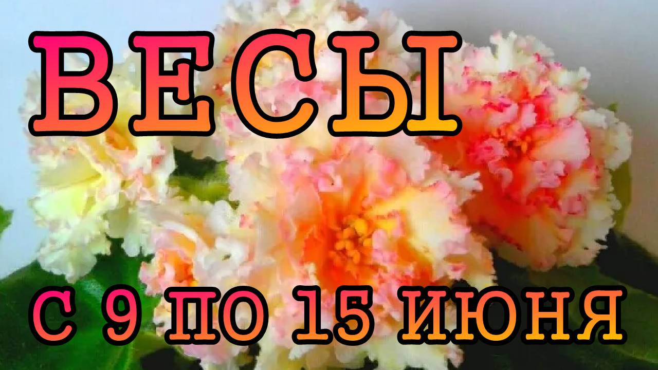 ВЕСЫ таро прогноз на неделю с 9 по 15 ИЮНЯ 2025 года.