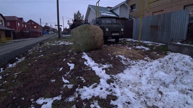 Влог от 29.10.2020