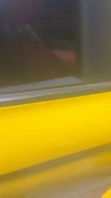 VID