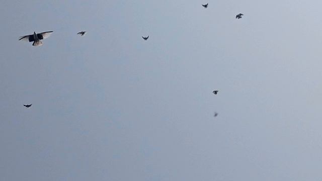 1000045108.mp4