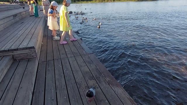 Район Стрелки. Вантовый мост .Набережная Енисея .Красноярск