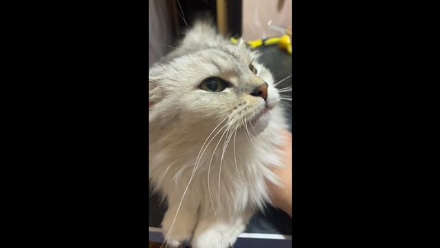 Ох, как же я люблю эти процедуры.....Ваша чистюля!